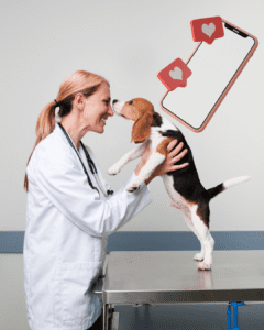 social media marketing per veterinari